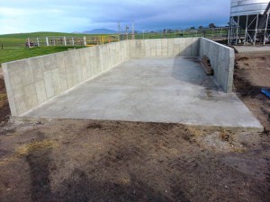 10587930_270777259775143_374454597_o