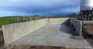 10589412_270777743108428_1797425263_o